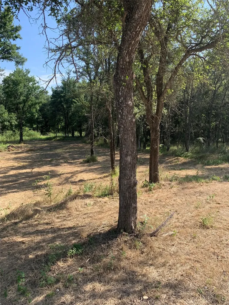 2 Lots Cimmarron Trail Runaway Bay TX 76426