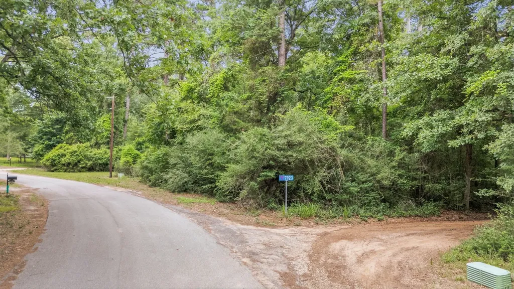 Tbd Valleywood Cove Holly Lake Ranch TX 75765