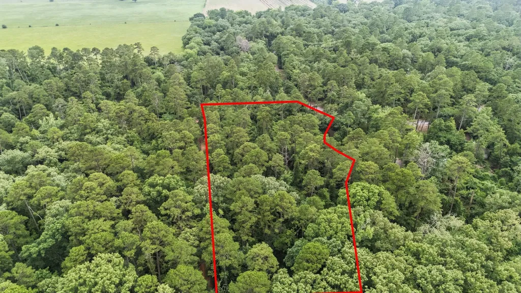 Tbd Valleywood Cove Holly Lake Ranch TX 75765