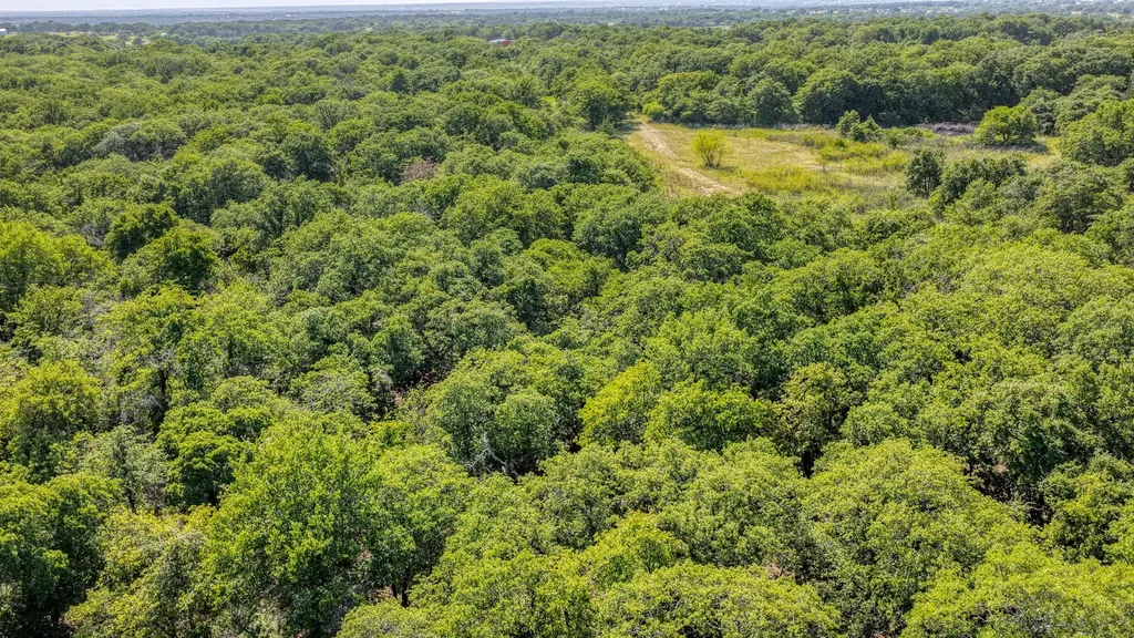 Tbd 1 Timber Oaks Lane Boyd TX 76023