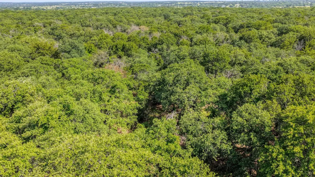 Tbd 1 Timber Oaks Lane Boyd TX 76023