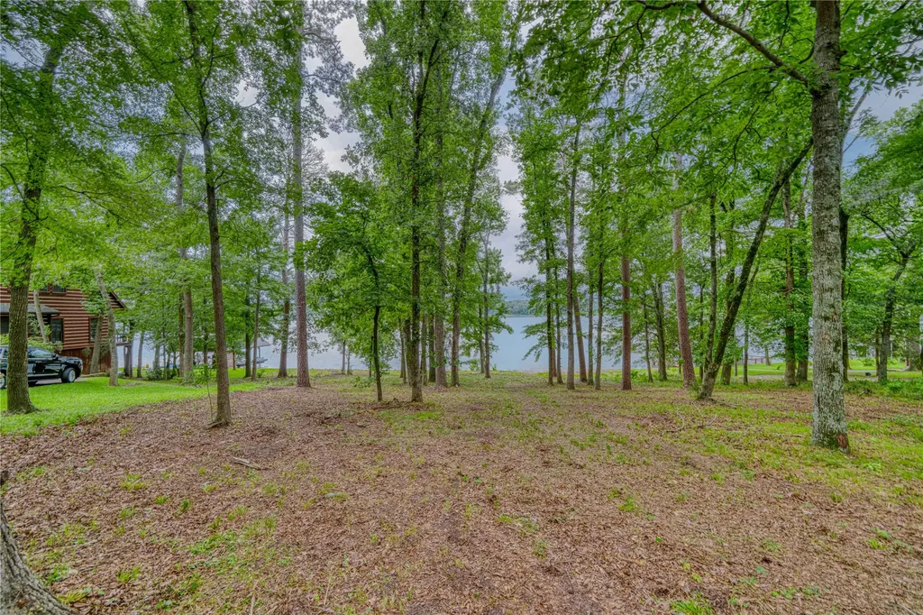 Tbd Naus Drive Winnsboro TX 75494
