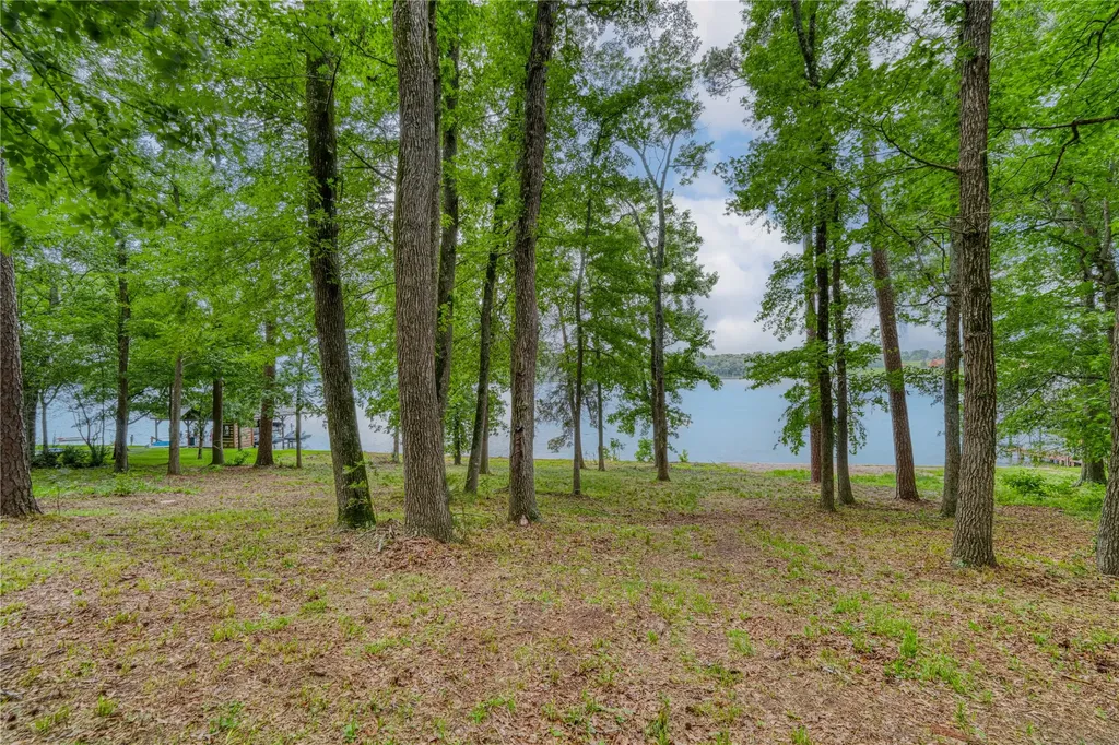 Tbd Naus Drive Winnsboro TX 75494