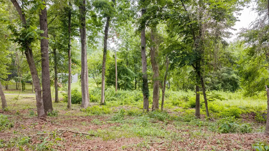 Tbd Naus Drive Winnsboro TX 75494