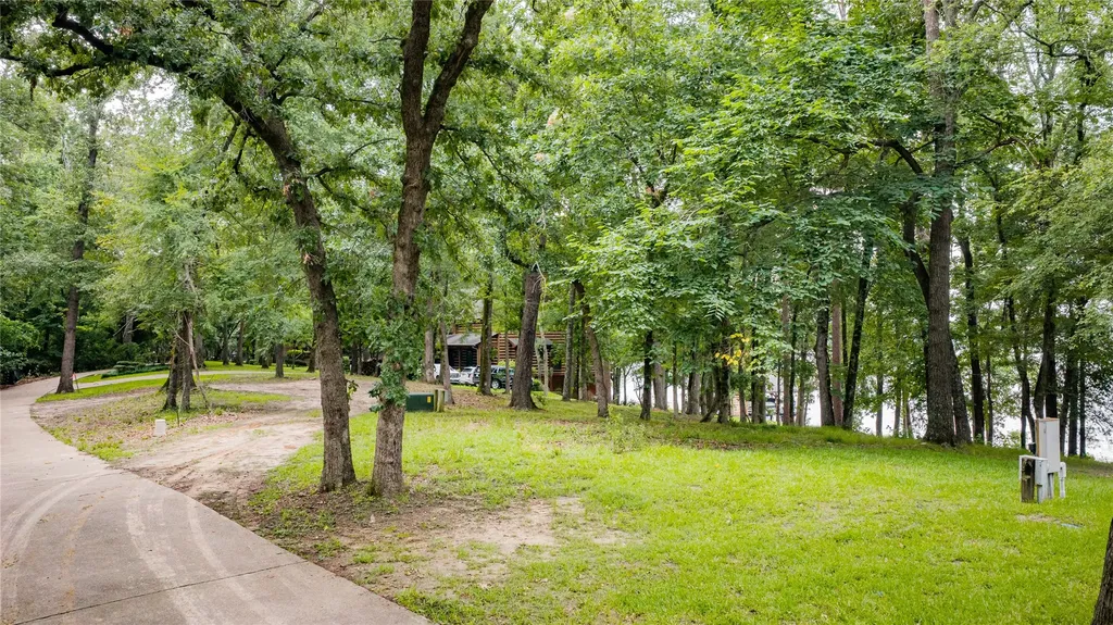Tbd Naus Drive Winnsboro TX 75494