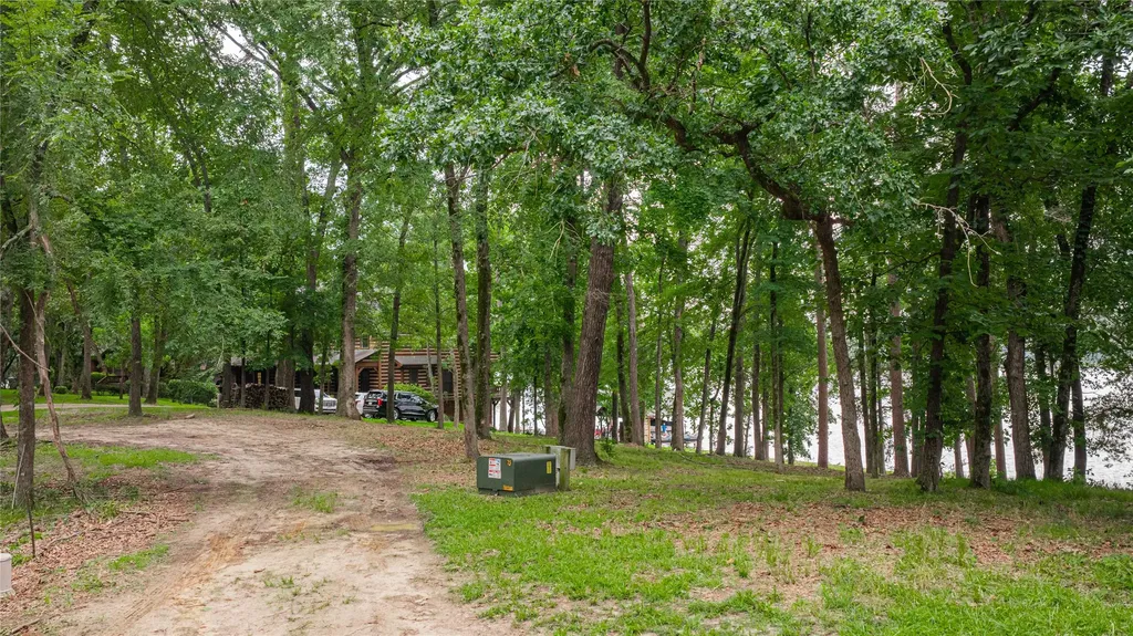 Tbd Naus Drive Winnsboro TX 75494
