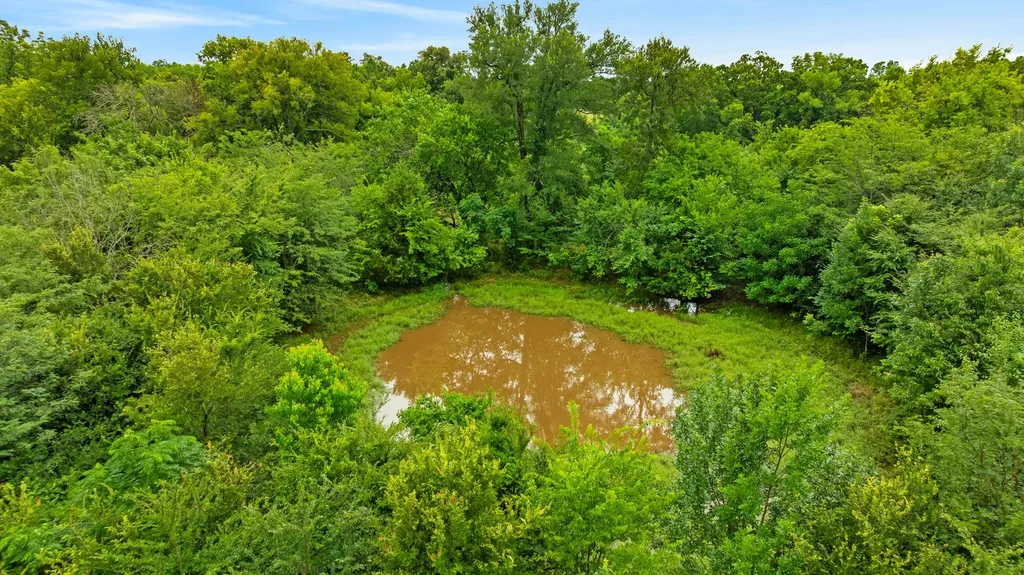 1285 Farm Road 196 Pattonville TX 75468