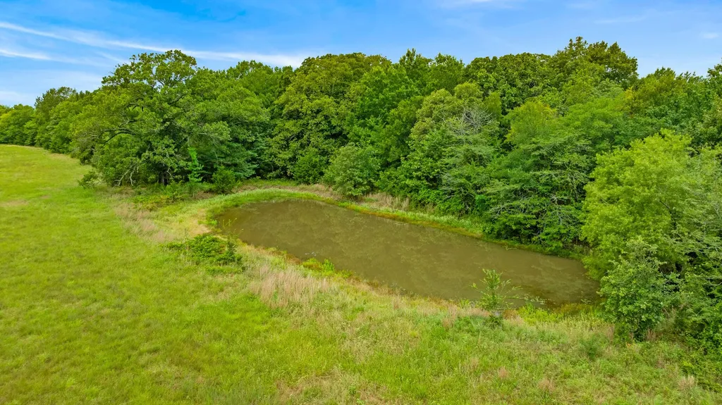 1285 Farm Road 196 Pattonville TX 75468