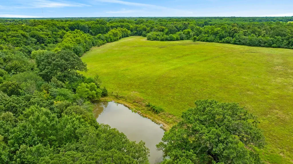 1285 Farm Road 196 Pattonville TX 75468