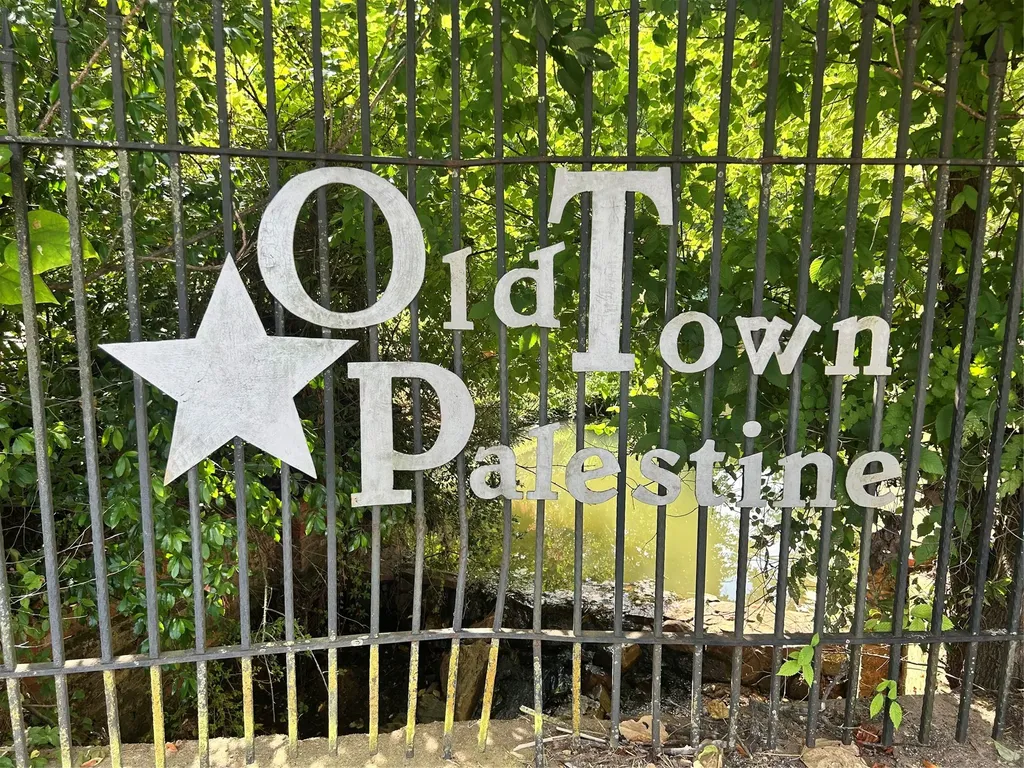 401 W Carolina Street Palestine TX 75803
