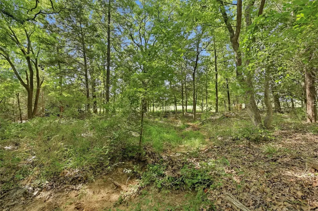 7277 W Line Road Collinsville TX 76233