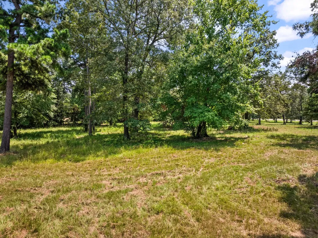 Tbd Fm 1519 Leesburg TX 75451