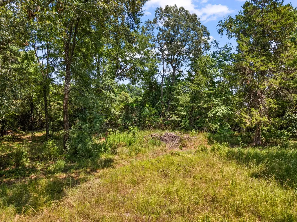 Tbd Fm 1519 Leesburg TX 75451