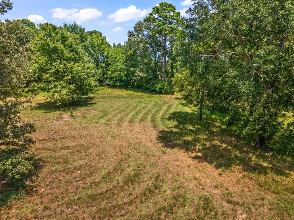 Tbd Fm 1519 Leesburg TX 75451