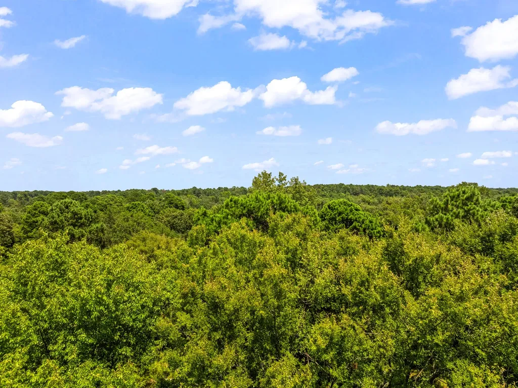 Tbd Fm 1519 Leesburg TX 75451