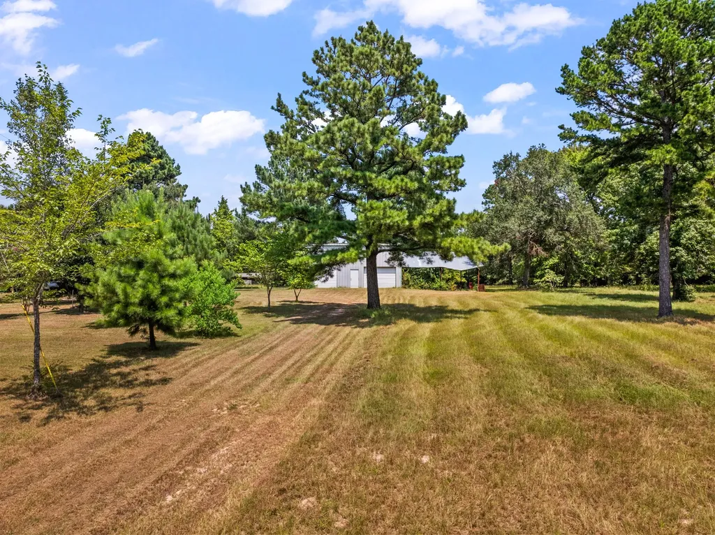 Tbd Fm 1519 Leesburg TX 75451