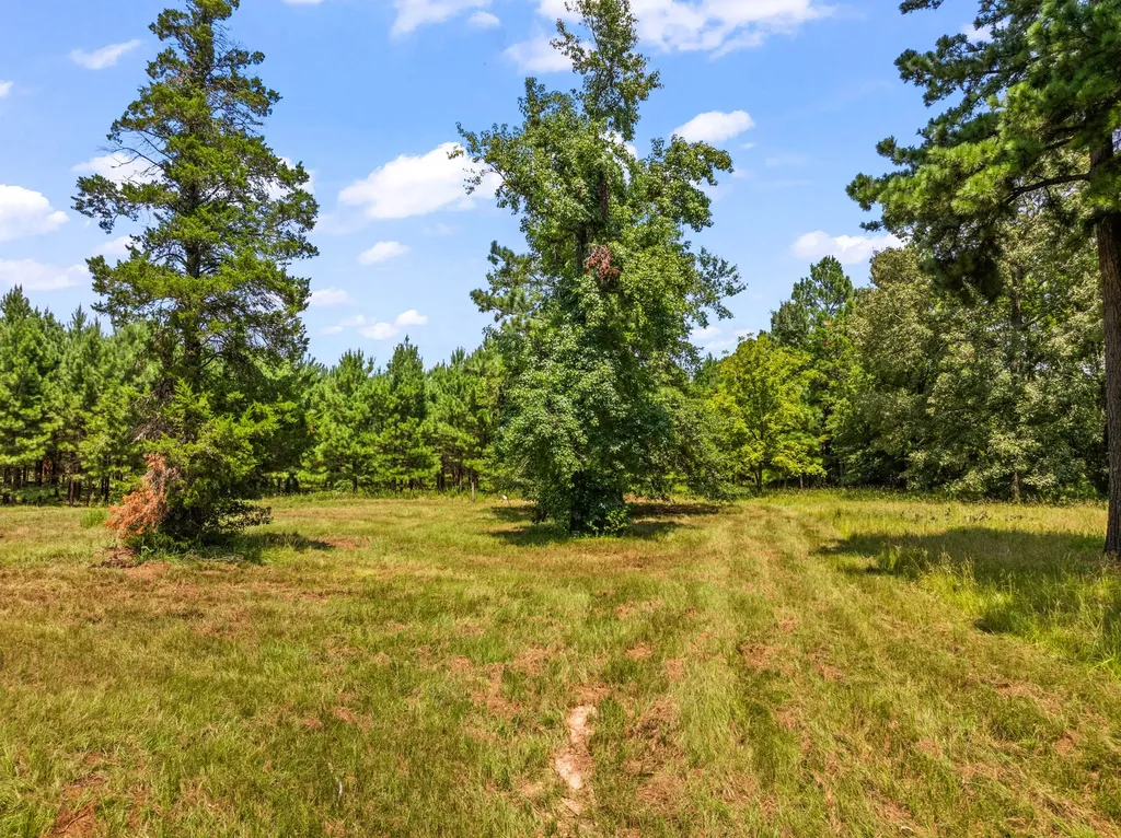 Tbd Fm 1519 Leesburg TX 75451