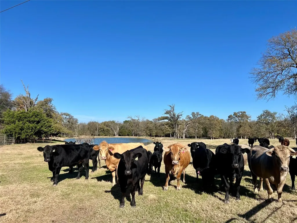 0 County Road 2104 Kemp TX 75143
