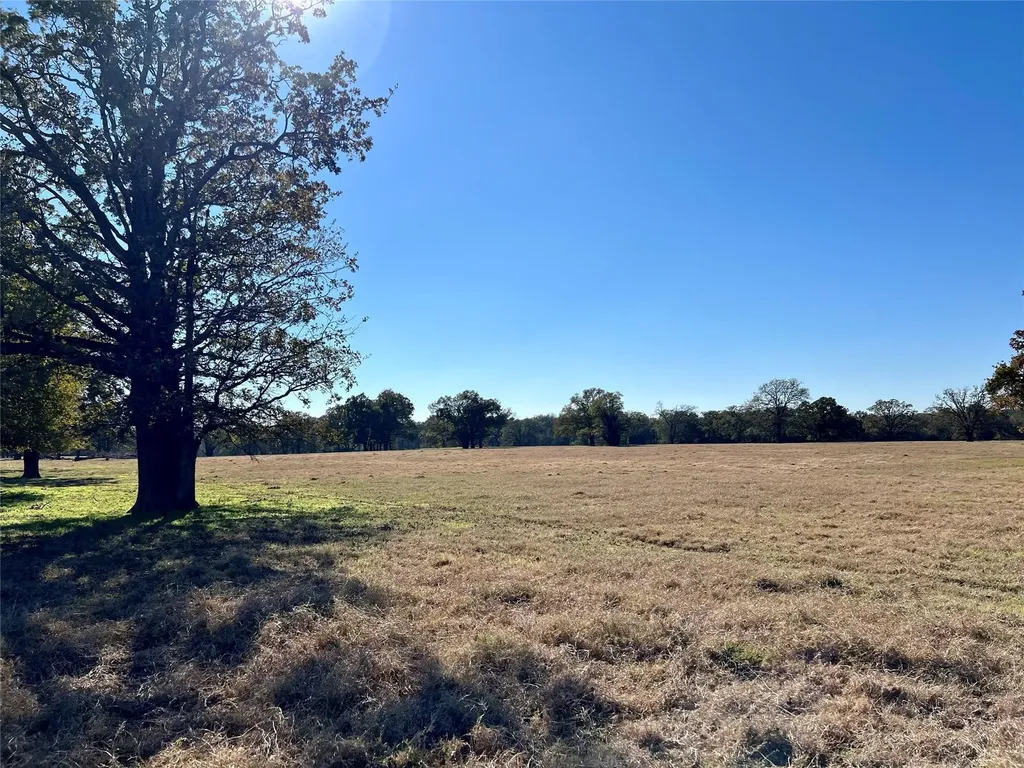 0 County Road 2104 Kemp TX 75143