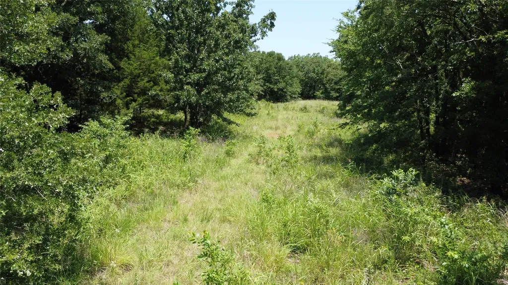 527 Copperas Road Whitesboro TX 76264