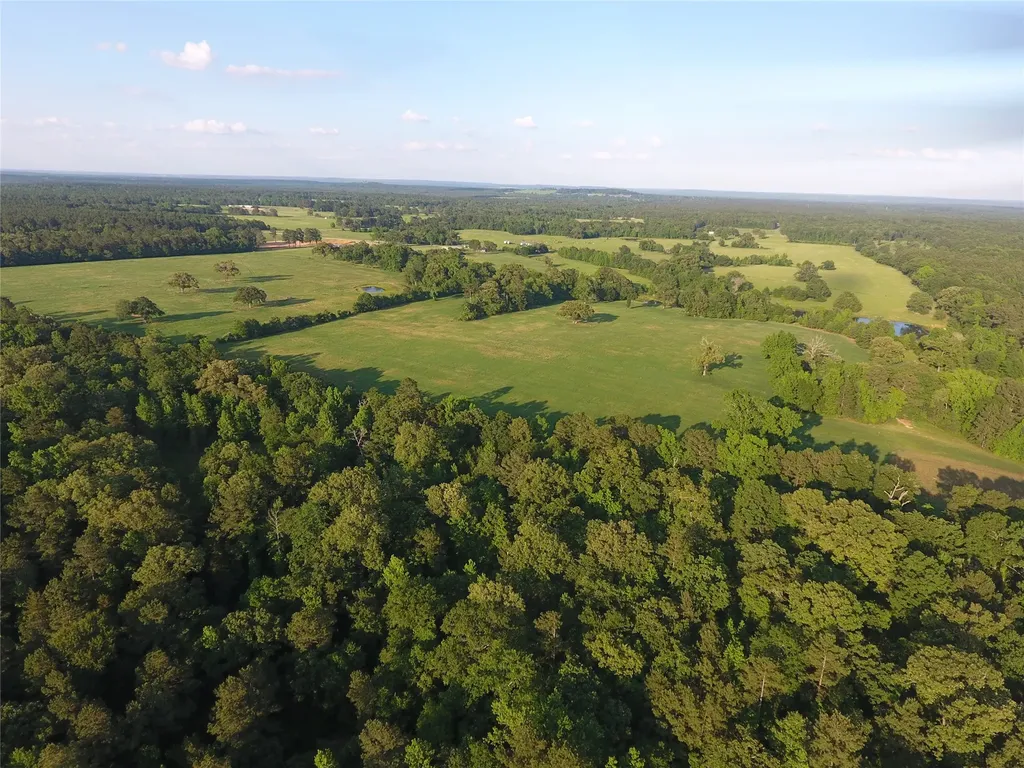 11400 E Fm-321 Palestine TX 75803