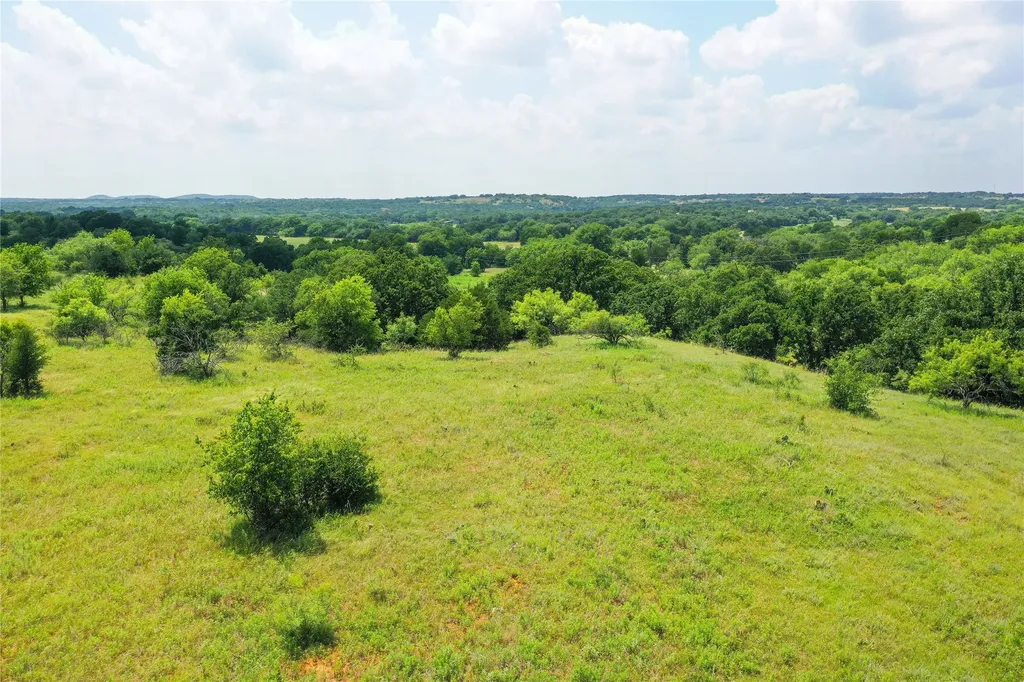43.18 Acres 281 Highway Jacksboro TX 76458