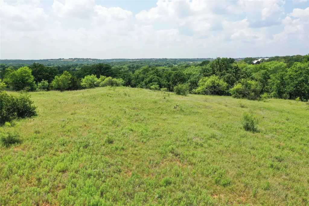 43.18 Acres 281 Highway Jacksboro TX 76458