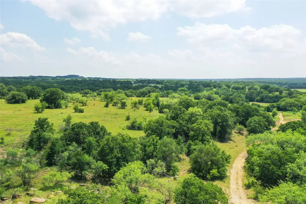 43.18 Acres 281 Highway Jacksboro TX 76458