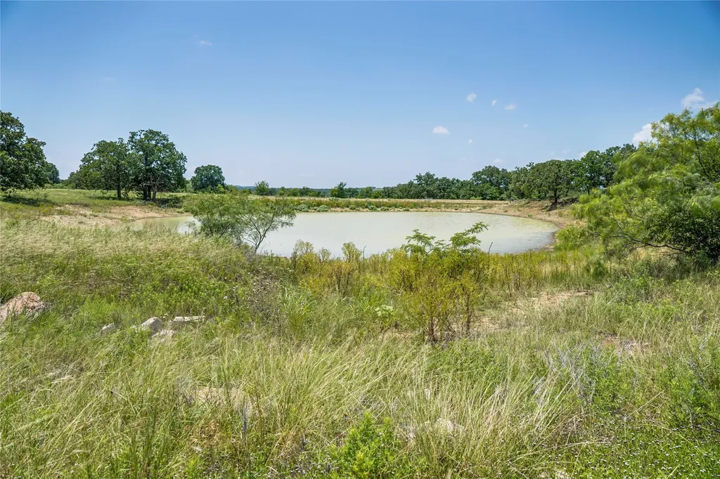 43.18 Acres 281 Highway Jacksboro TX 76458