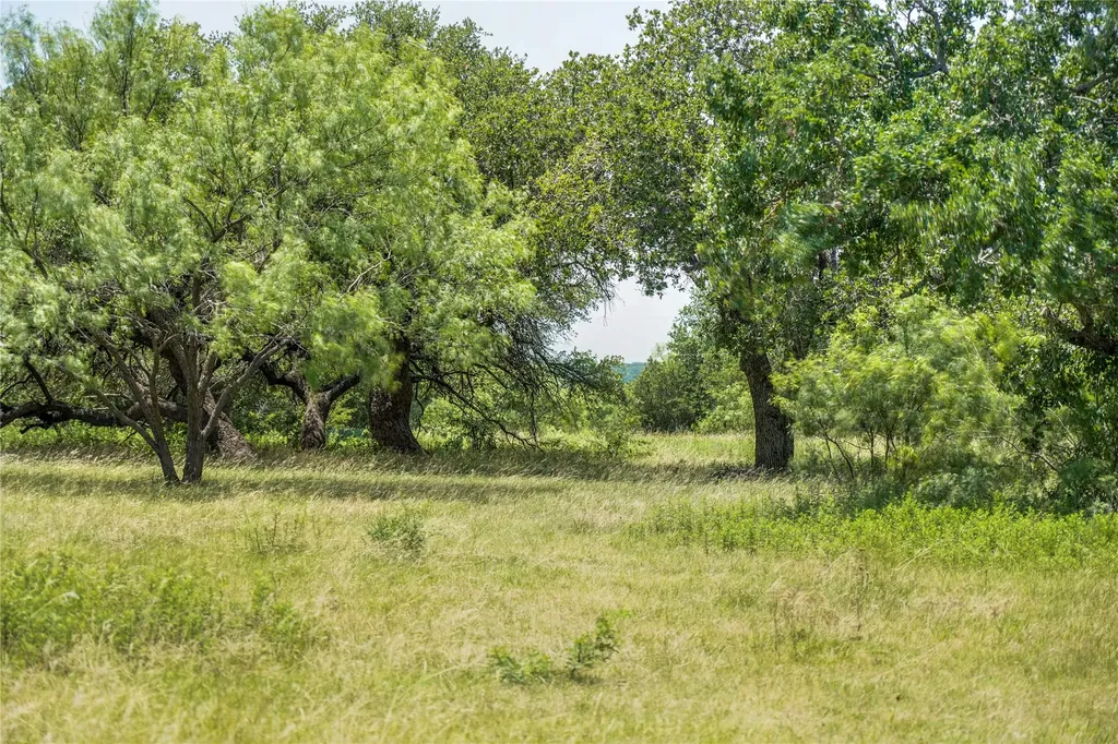 43.18 Acres 281 Highway Jacksboro TX 76458