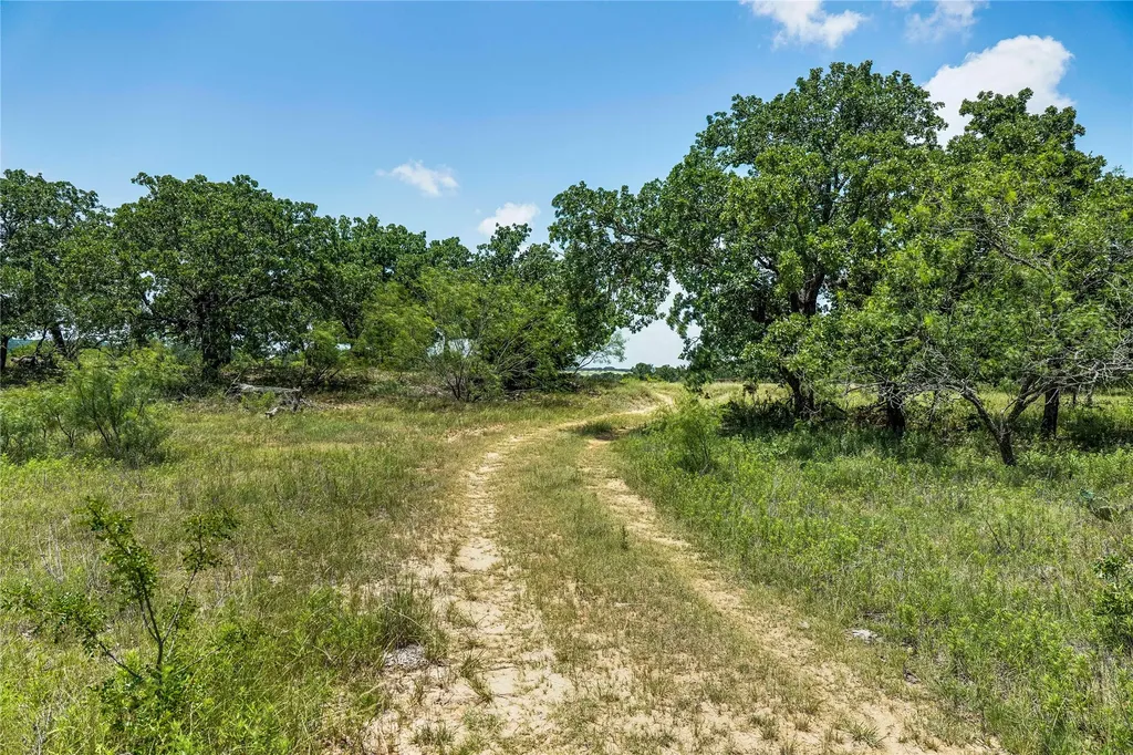 43.18 Acres 281 Highway Jacksboro TX 76458
