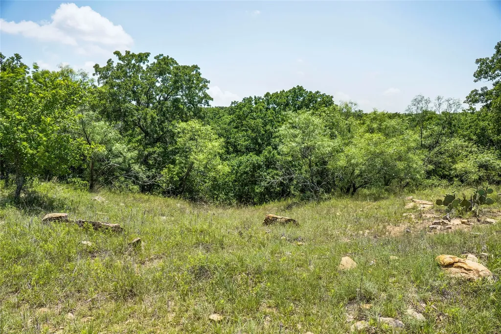 43.18 Acres 281 Highway Jacksboro TX 76458