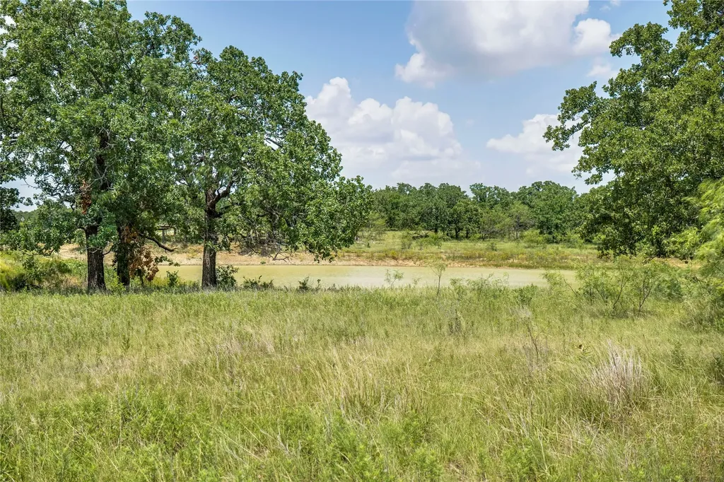 43.18 Acres 281 Highway Jacksboro TX 76458