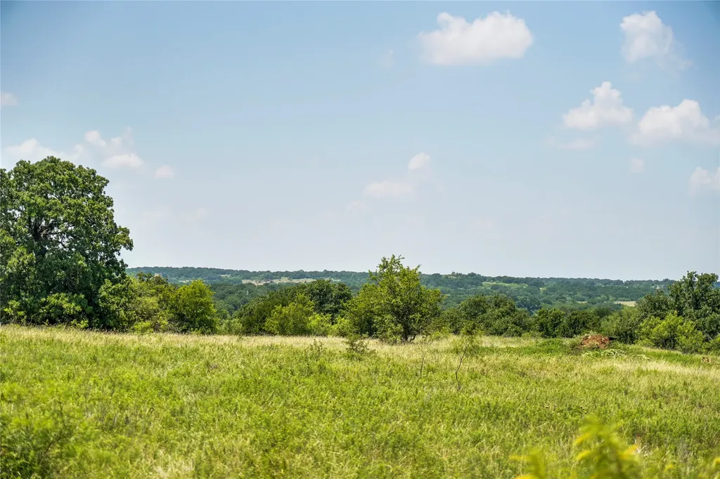 43.18 Acres 281 Highway Jacksboro TX 76458