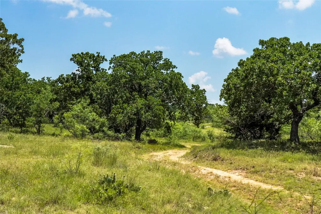 43.18 Acres 281 Highway Jacksboro TX 76458