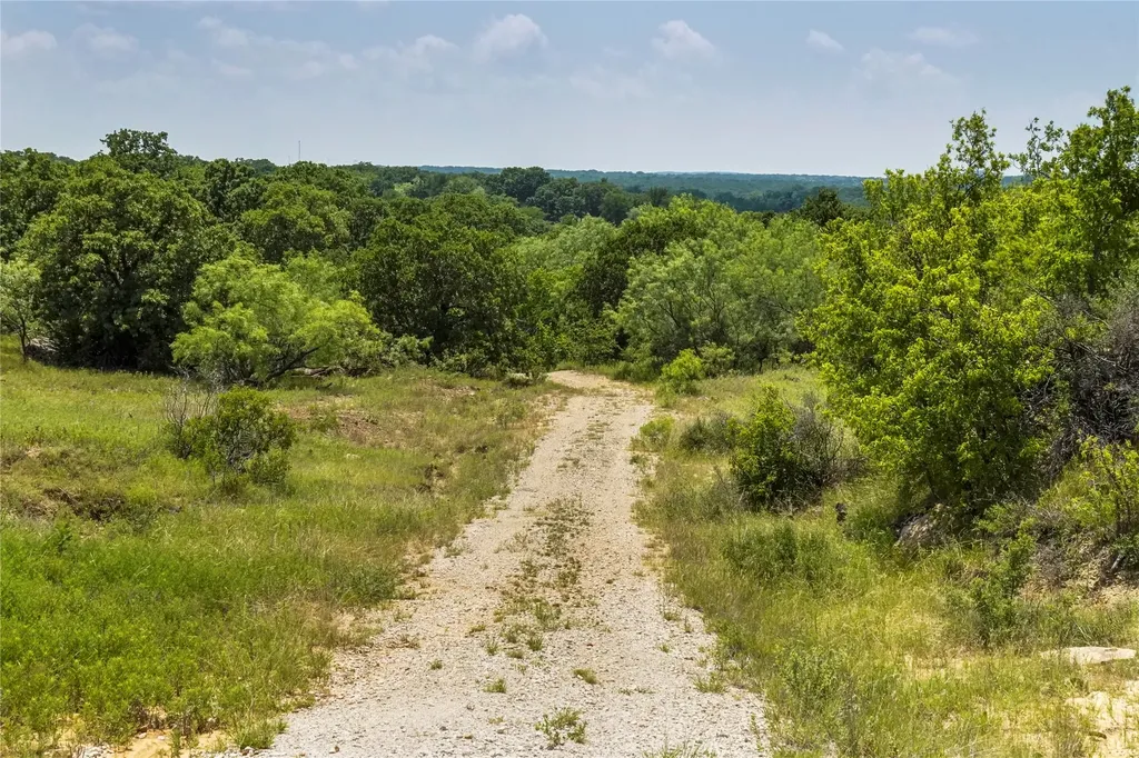 43.18 Acres 281 Highway Jacksboro TX 76458