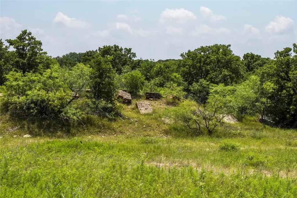43.18 Acres 281 Highway Jacksboro TX 76458