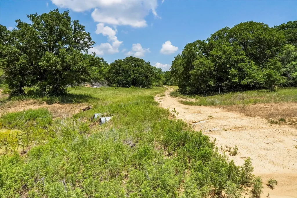 43.18 Acres 281 Highway Jacksboro TX 76458