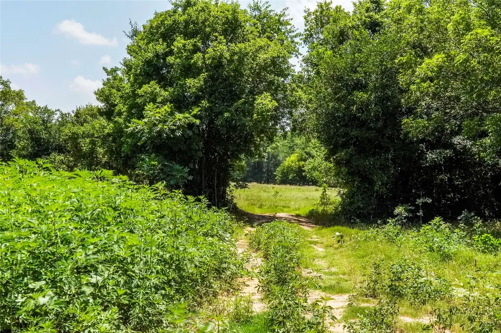 43.18 Acres 281 Highway Jacksboro TX 76458