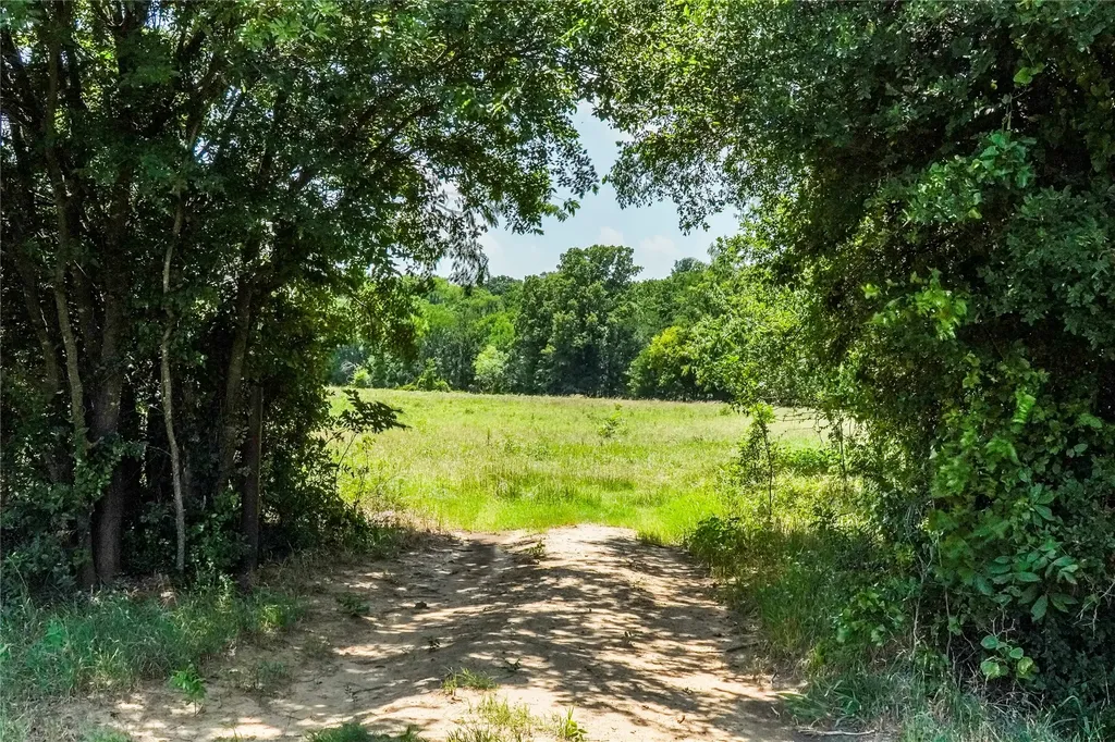 43.18 Acres 281 Highway Jacksboro TX 76458