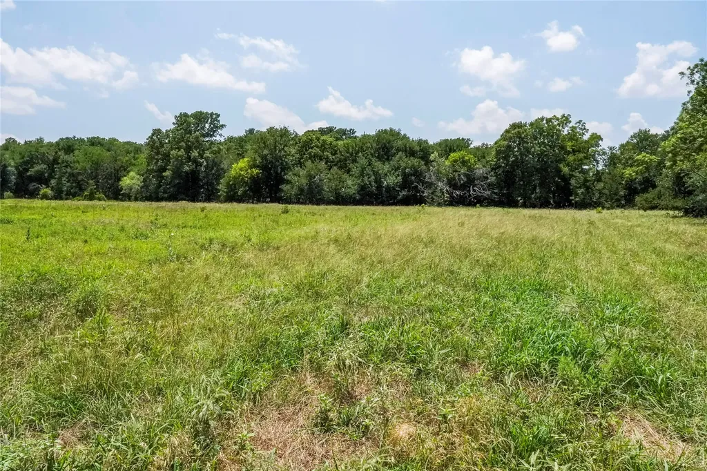 43.18 Acres 281 Highway Jacksboro TX 76458