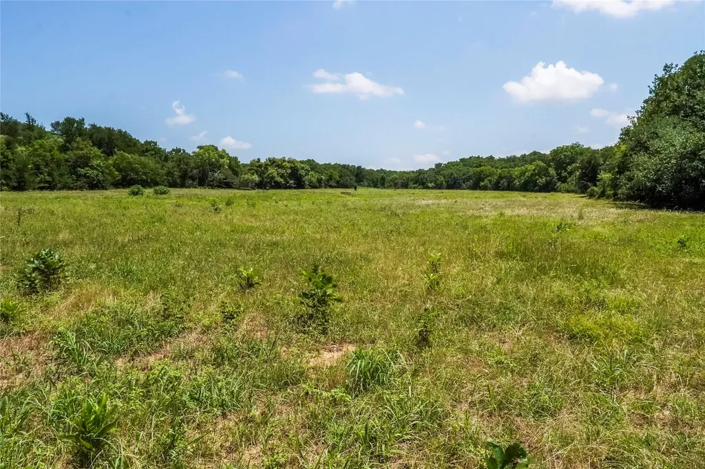 43.18 Acres 281 Highway Jacksboro TX 76458