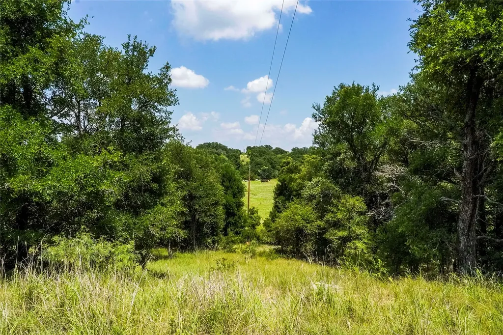 43.18 Acres 281 Highway Jacksboro TX 76458