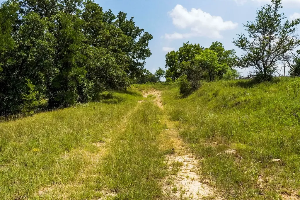 43.18 Acres 281 Highway Jacksboro TX 76458