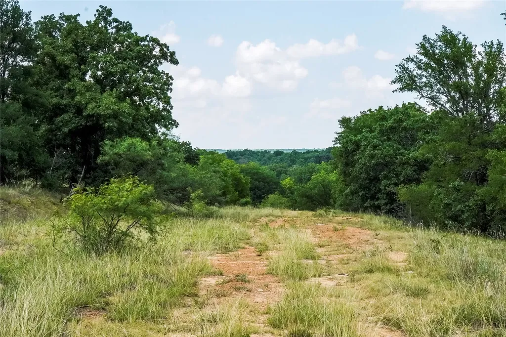 43.18 Acres 281 Highway Jacksboro TX 76458