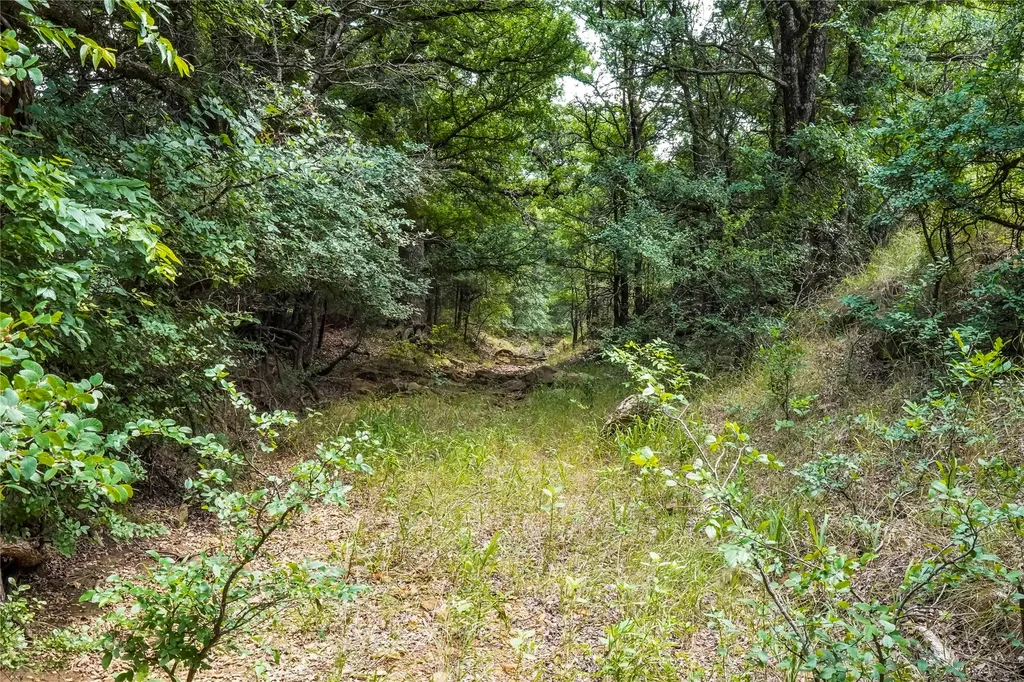 43.18 Acres 281 Highway Jacksboro TX 76458