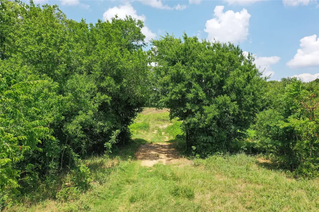 43.18 Acres 281 Highway Jacksboro TX 76458