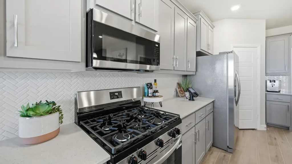 17136 Manzanilla Drive Justin TX 76247