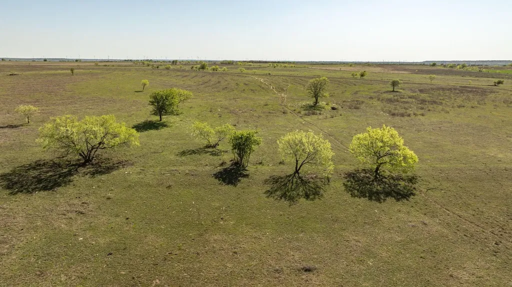 90 County Road 515 Energy TX 76452