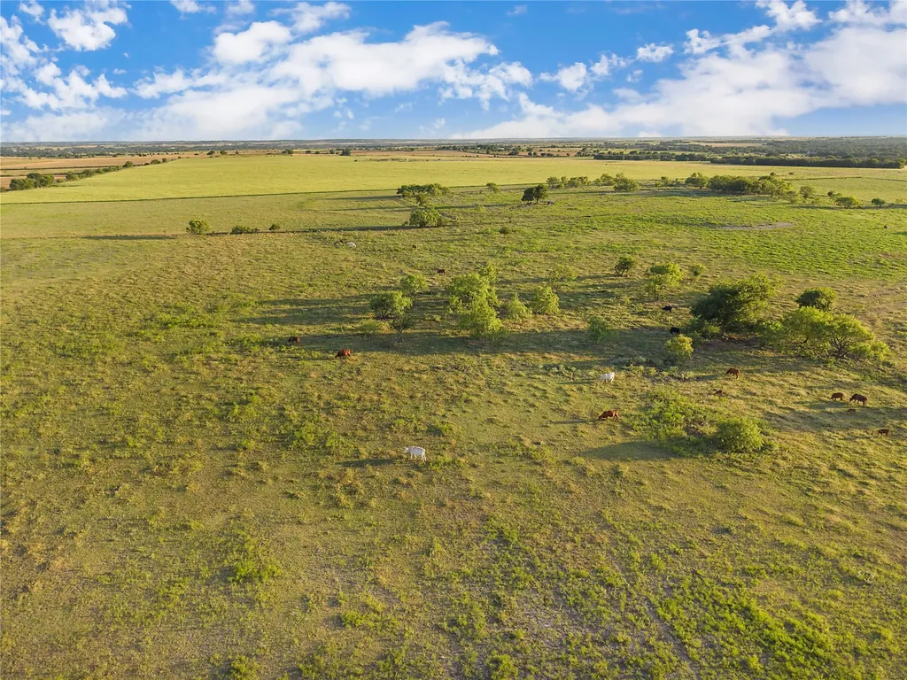 90 County Road 515 Energy TX 76452